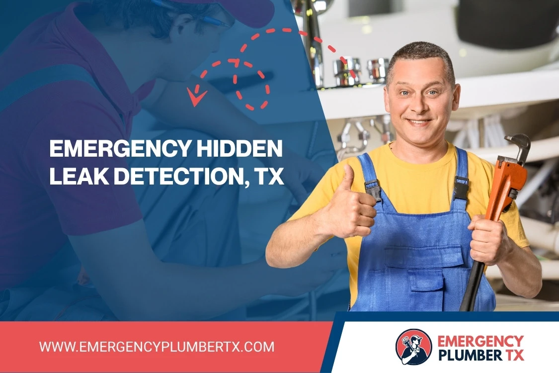 Emergency Hidden Leak Detection, TX